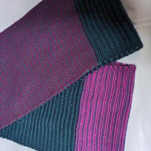 The North Face Infinity Scarf Teal Magenta Stripes